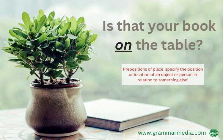 Prepositions of Place With Examples!